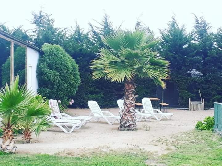 Hotel Del Valle Quilimari Pichidangui Luaran gambar